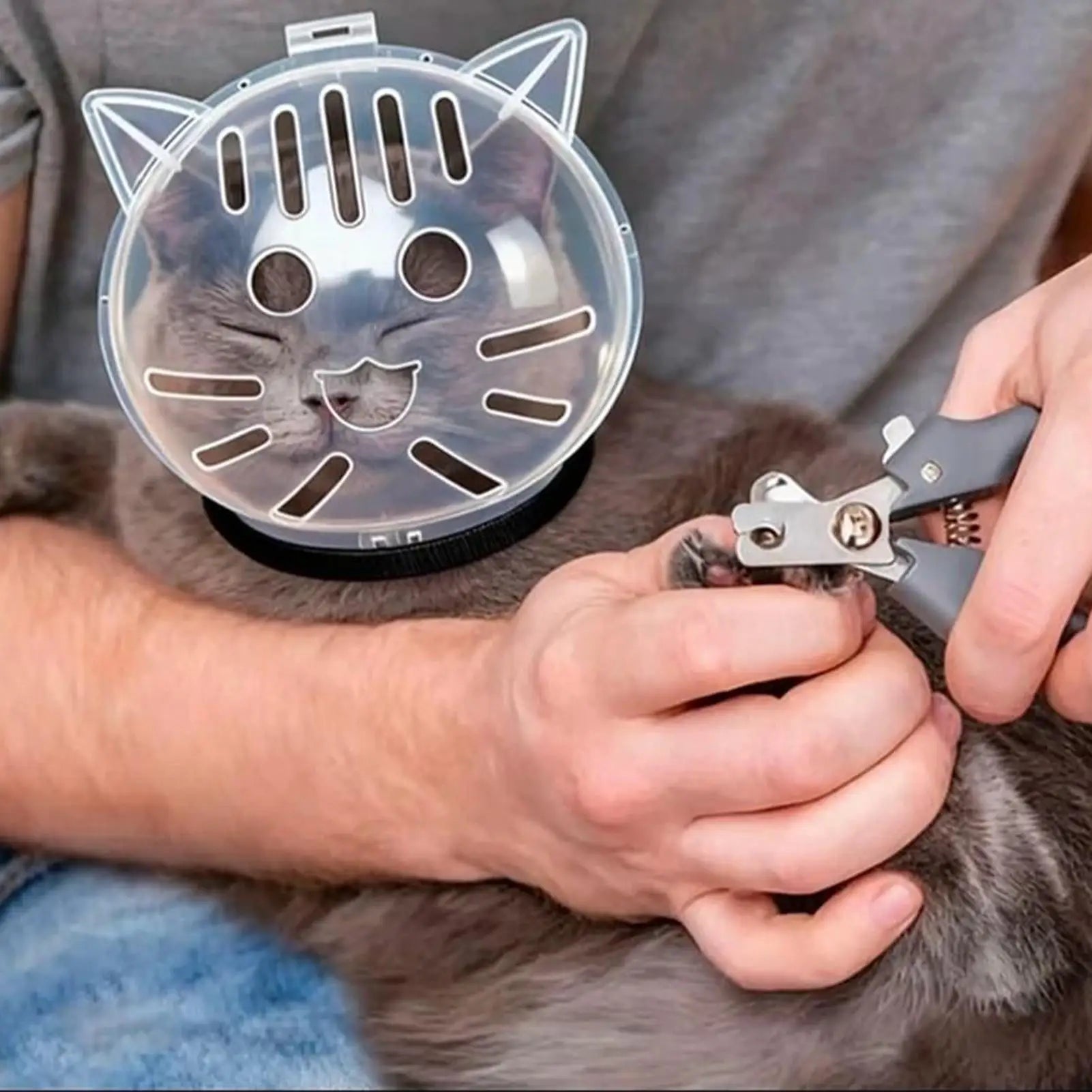 Cúpula de Baño para Gatos — Grooming Sin Estrés Ni Arañazos