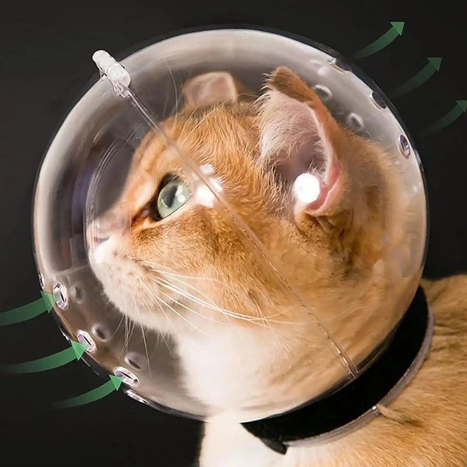 Cúpula de Baño para Gatos — Grooming Sin Estrés Ni Arañazos